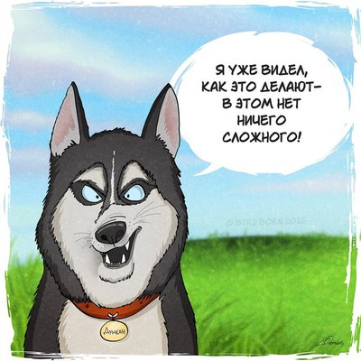 1458401240111030854.jpg (82.23 КБ, Просмотров: 14513) 1458401240111030854.jpg