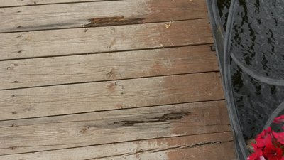 20180701_122649.jpg