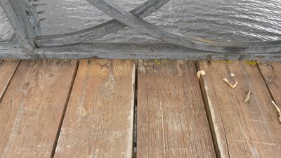 20180701_122806.jpg