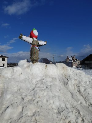 8d82de14-55e3-448e-bc21-f924a4ad1caa.jpg