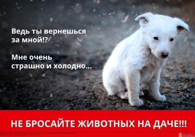 WhatsApp Image 2019-09-19 at 14.43.33.jpeg
