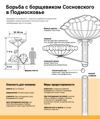 hcr3VVb8yVjeJUkGN1rquMOAEI89E3kS1P7G3Ig1yA9D0vOmIf8oAJTkeOF5bMbh5TzLz1ap5VWcQ412k6pGYob0w0xZYOfN (2).png (117.23 КБ, Просмотров: 47302) hcr3VVb8yVjeJUkGN1rquMOAEI89E3kS1P7G3Ig1yA9D0vOmIf8oAJTkeOF5bMbh5TzLz1ap5VWcQ412k6pGYob0w0xZYOfN (2).png